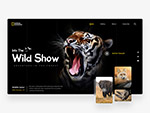野生动物网站模板