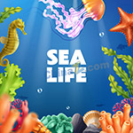 海洋生物卡通插图