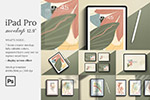 iPadProƽ����