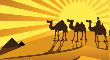 金色沙漠上的骆驼