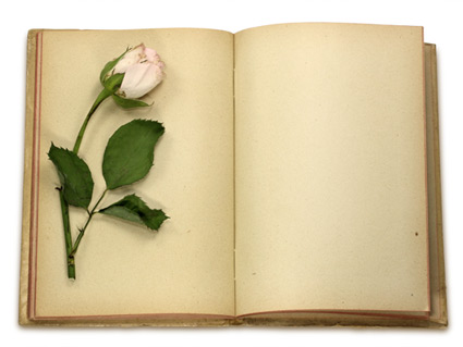 玫瑰花与旧书