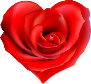 心形红色玫瑰花