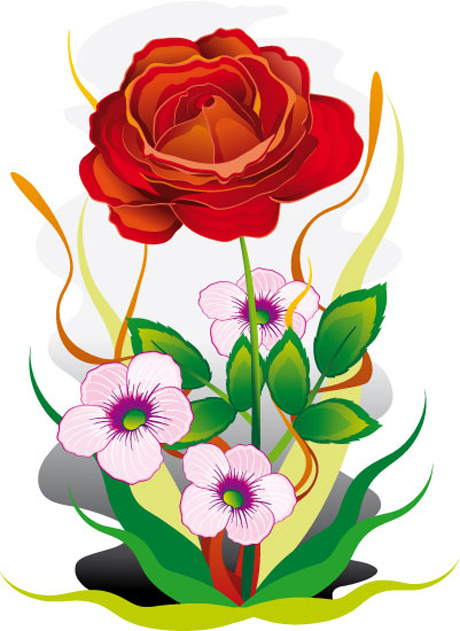 大红花朵插图