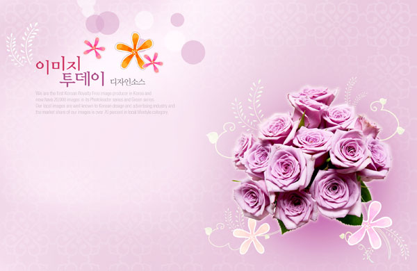紫色的玫瑰花束