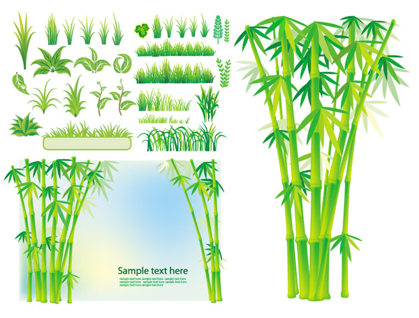 竹子植物小草