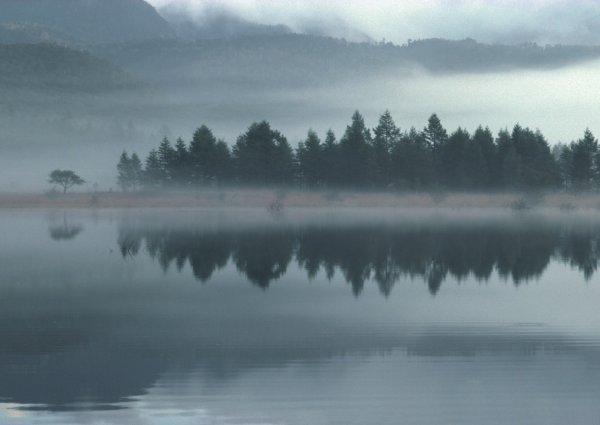 雾锁湖景
