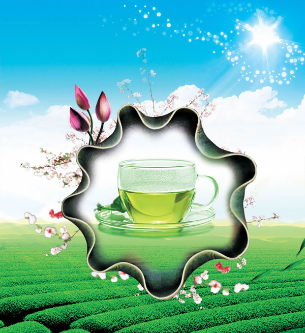 茶园飘香绿茶海报