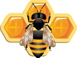 3D蜜蜂和蜂窝