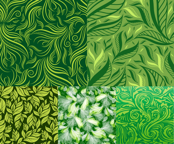 绿叶背景矢量