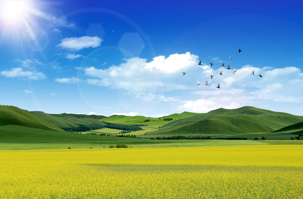 �����µ��Ͳ˻���