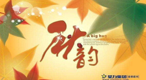 �������ϵ���