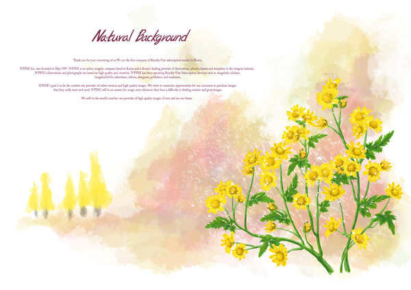 黄色小花花卉