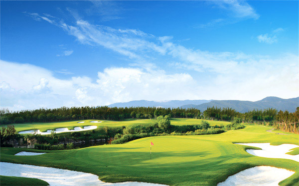 �߶�����