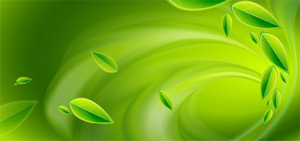 ��ɫҶ�ӱ���