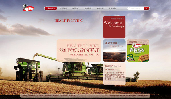 ����ͷ���Ź���