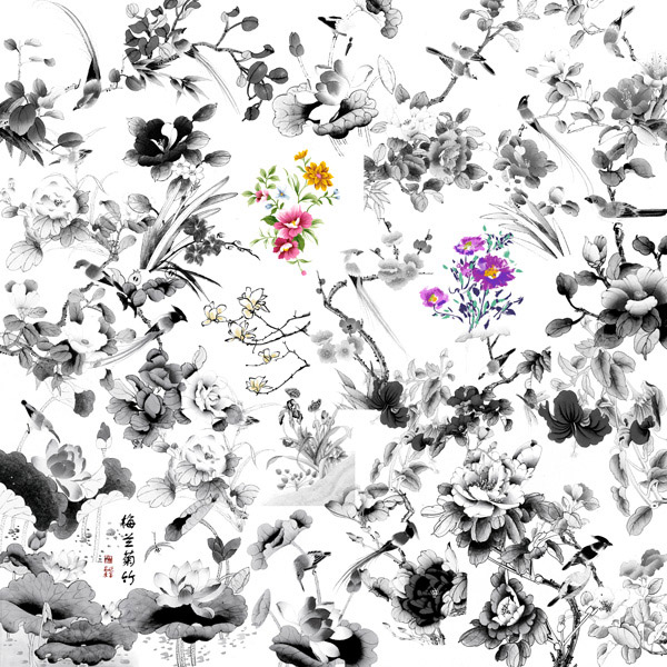 ˮī����Ԫ��