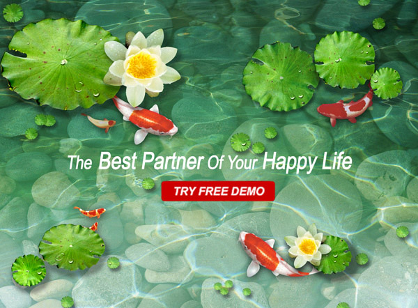 ��ɫ����