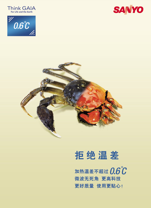 ����΢��¯���