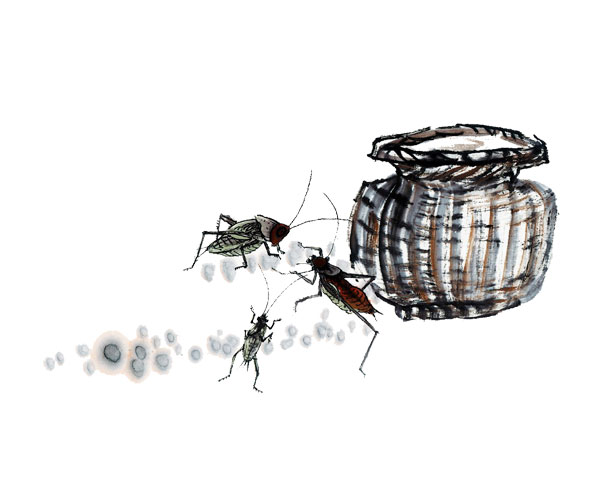 ����ˮī��