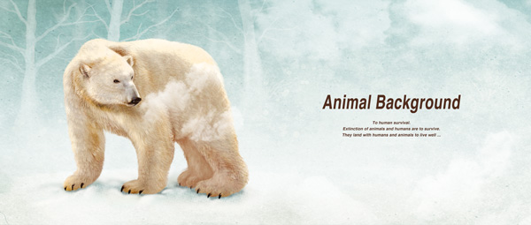 可爱北极熊