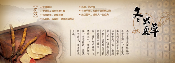 �����Ĳݹ��