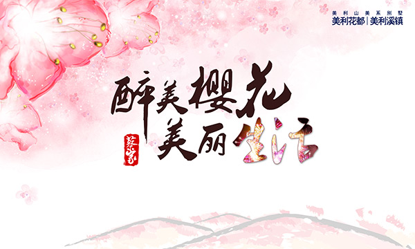 ����ӣ��