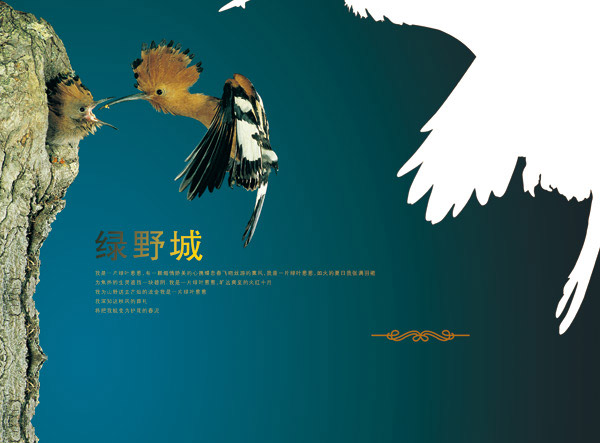 绿野城房产海报ps_平面广告-か素材中国_素材