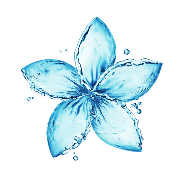 水组成的花瓣图案