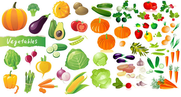 蔬菜图片矢量
