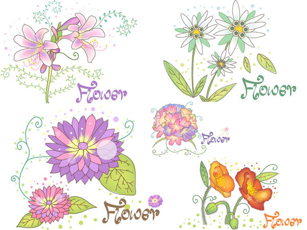 花朵植物图案
