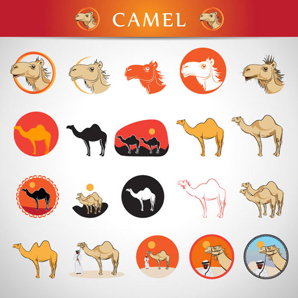 各种骆驼图案