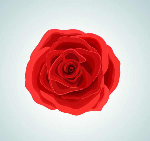 矢量花草树木所需点数: 0 点 关键词: 红色玫瑰花朵矢量素材下载,花朵