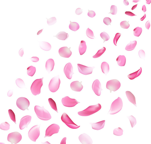 点 关键词: 粉色花瓣设计矢量素材下载,樱花,花瓣,玫瑰花,花朵,矢量图