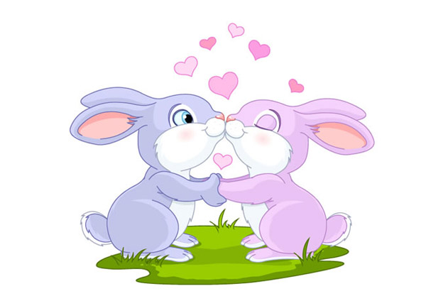 亲吻情侣兔子