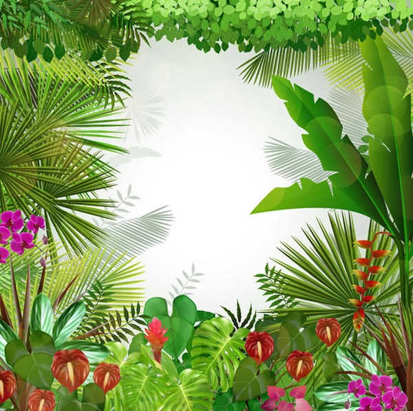 热带植物背景