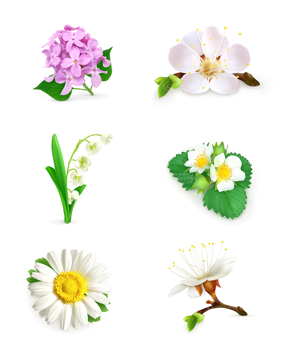 0  点 关键词: 美丽的花朵设计矢量素材,卡通鲜花,美丽花朵,卡通花朵 
