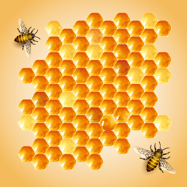 蜜蜂蜂巢设计