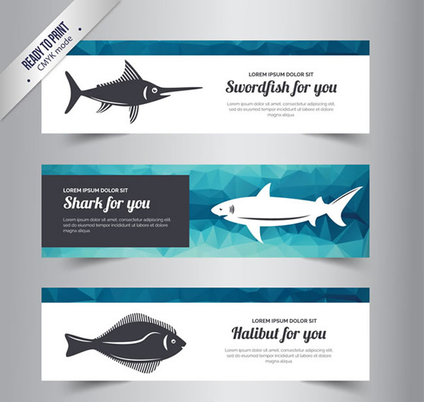 海洋鱼类banner