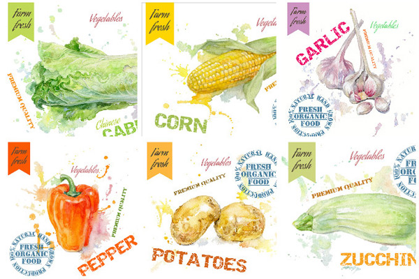 蔬菜绘画设计矢量