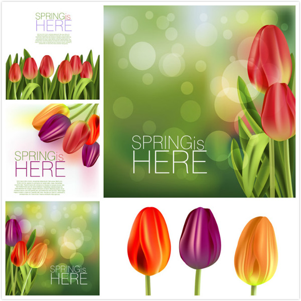 �λ�������ʸ��