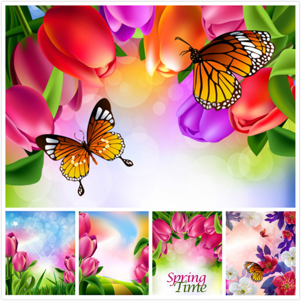 ���컨��ֲ��