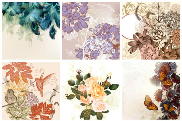 ��ëõ����С��