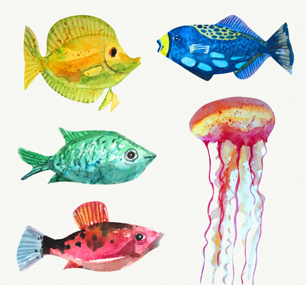 彩绘海洋生物