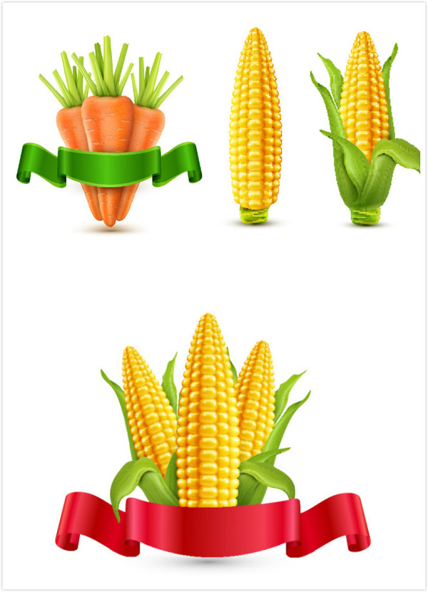 ���׺��ܲ�ʸ��