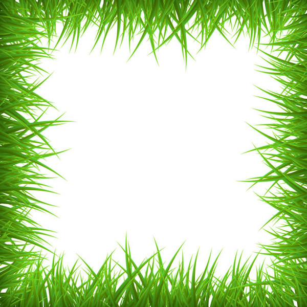 绿草空白框架背景