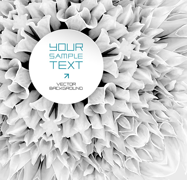 ����������ͼ��