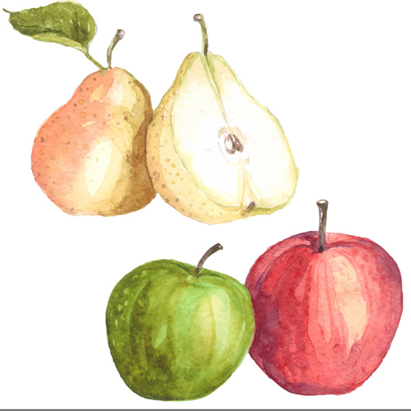 �ֻ�����ƻ��