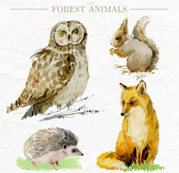 彩绘森林动物