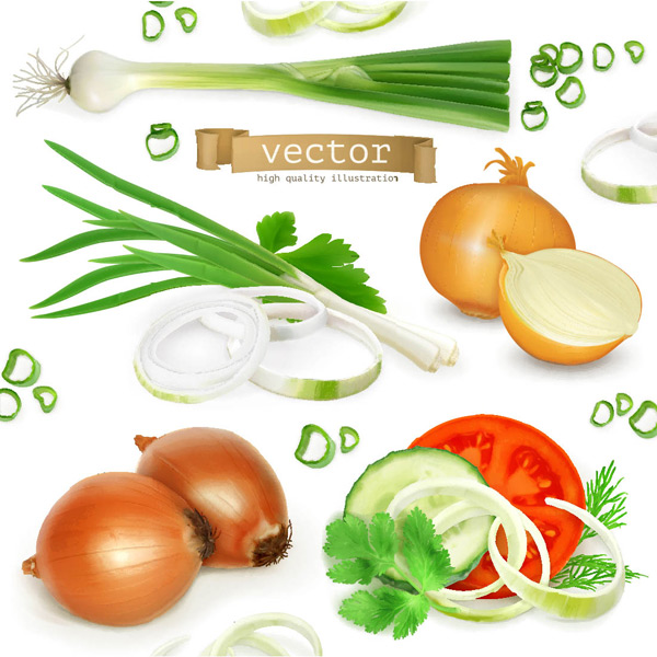 �߹�ԭ����ʸ��