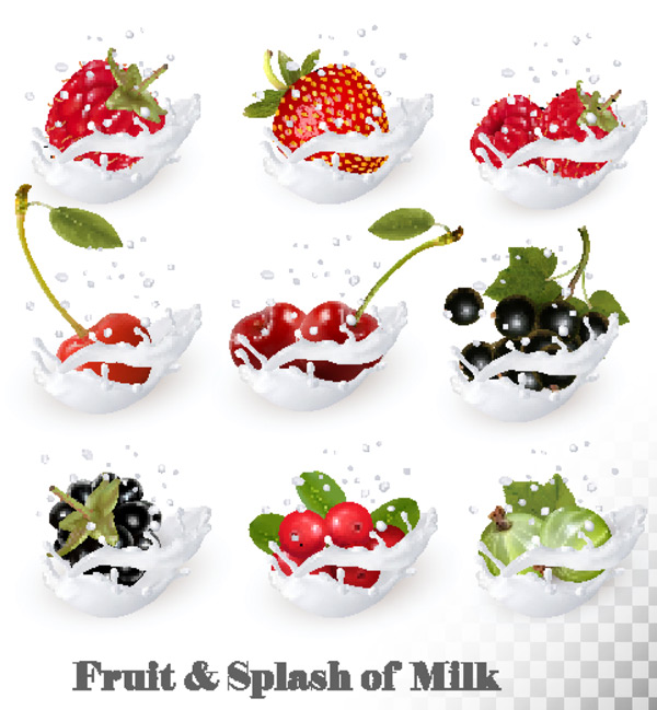 ţ�̽���ʸ��